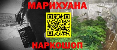 трава Гатчина