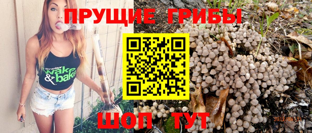 Псилоцибиновые грибы мухоморы Назарово