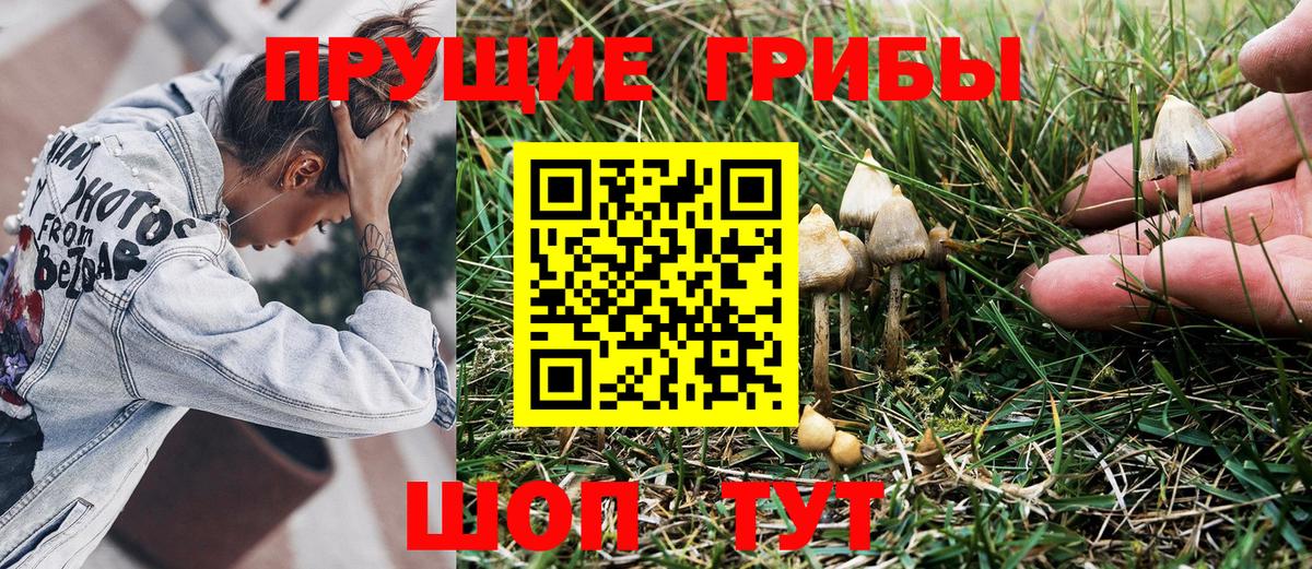 Галлюциногенные грибы Magic Shrooms  Галлюциногенные грибы мухоморы  наркота  Вход с VPN  Назарово 